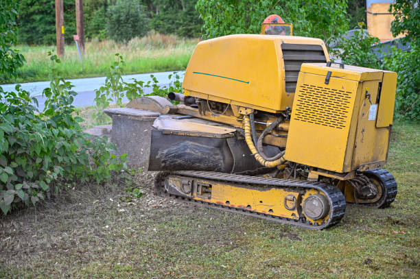 operational stump grinding machine in a home 